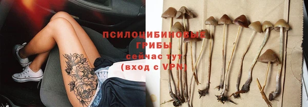 MESCALINE Лабытнанги