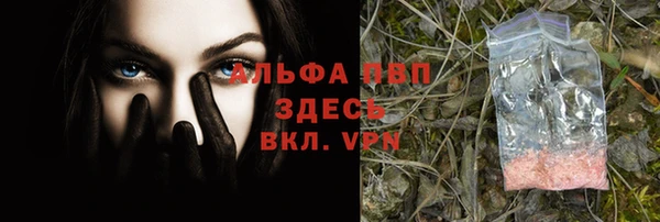 крисы Ладушкин