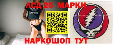 мдма Кингисепп