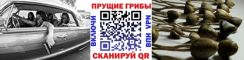 Псилоцибиновые грибы MAGIC MUSHROOMS  Михайловск 