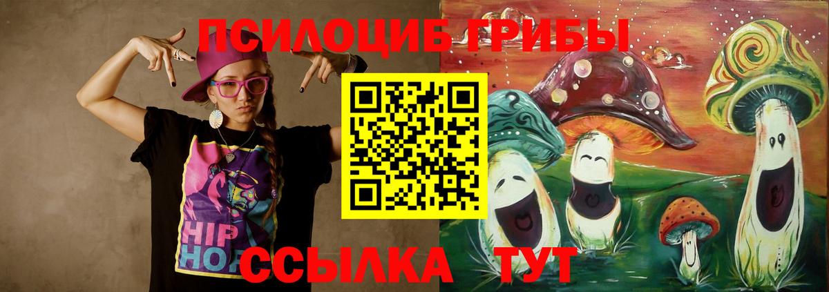 Михайловск  Галлюциногенные грибы Psilocybine cubensis  Галлюциногенные грибы прущие грибы  купить наркотики цена  Вход с VPN 
